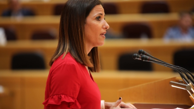 Inés Plaza, portavoz socialista de Educación en el Senado