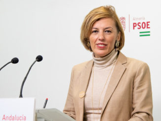 Sonia Ferrer Tesoro, diputada nacional del PSOE de Almería