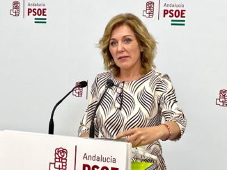 Parlamentaria andaluza, Ana Romero