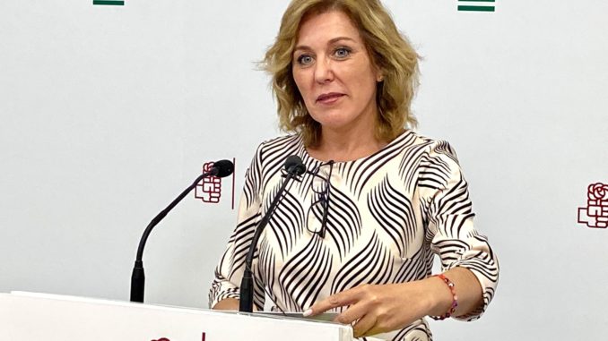 Parlamentaria andaluza, Ana Romero