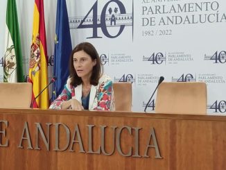 Pilar Navarro en rueda de prensa en el Parlamento