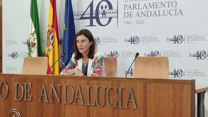Pilar Navarro en rueda de prensa en el Parlamento
