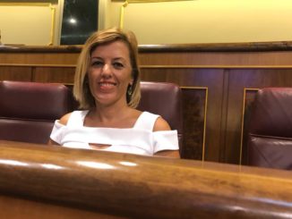Sonia Ferrer Tesoro en el Congreso de los Diputados
