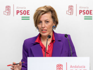 Sonia Ferrer Tesoro, diputada nacional del PSOE de Almería