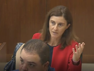 Pilar Navarro, durante su intervención