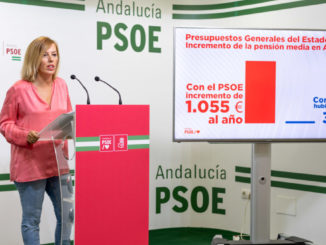 Sonia Ferrer Tesoro pensiones