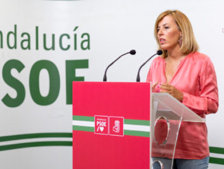 Sonia Ferrer, diputada nacional del PSOE de Almería