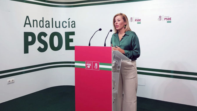 221202 Foto PSOE Sonia Ferrer Tesoro, hoy, en rueda de prensa