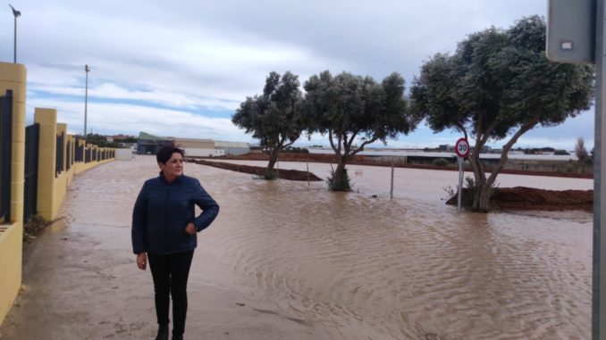 221215 Maribel Carrión junto a una de las zonas más afectadas en Las Norias, junto al nuevo parque y el CEIP Mirasierra