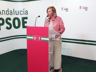 Sonia Ferrer Tesoro, en rueda de prensa 2023