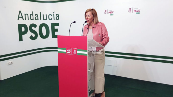 Sonia Ferrer Tesoro, en rueda de prensa 2023