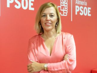 Sonia Ferrer Tesoro, diputada nacional por el PSOE de Almería