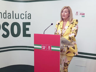 Teresa Piqueras, en rueda de prensa