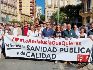 Representantes del PSOE por una sanidad pública de calidad