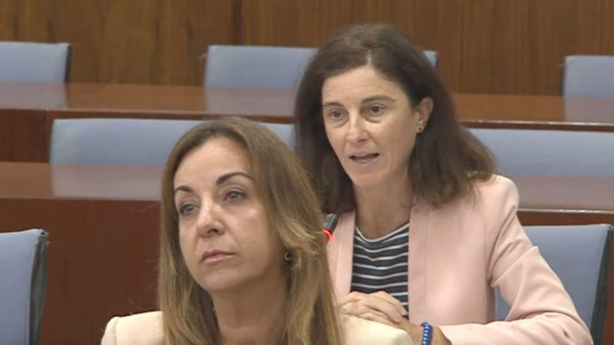 Pilar Navarro en la Comisión de Turismo del Parlamento de Andalucía