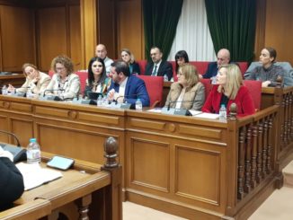 Juan Manuel Ruiz del Real interviene en el pleno de Diputación