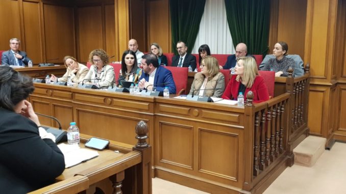 Juan Manuel Ruiz del Real interviene en el pleno de Diputación