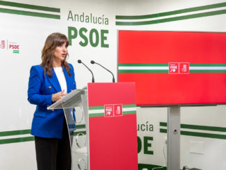 Inés Plaza, diputada nacional del PSOE de Almería