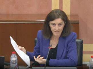 Pilar Navarro en la Comisión parlamentaria