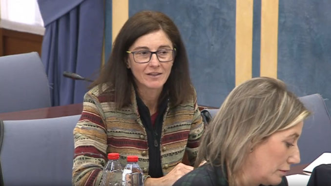 Pilar Navarro en la Comisión de Cultura del Parlamento andaluz