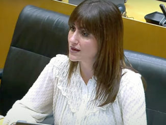 Inés Plaza García en la Comisión de Infancia y Juventud del Congreso