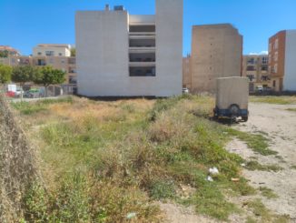 Solar de Adra donde los vecinos y vecinas han econtrado pulpas y garrapatas