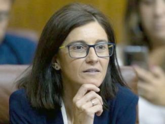 Pilar Navarro, parlamentaria andaluza