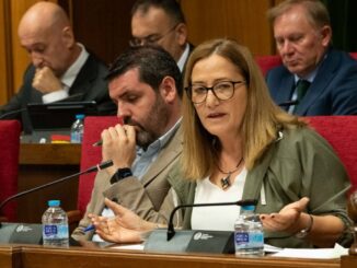 Esperanza Pérez durante el pleno