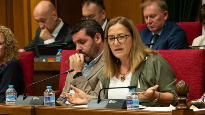 Esperanza Pérez durante el pleno Esperanza Pérez durante el pleno