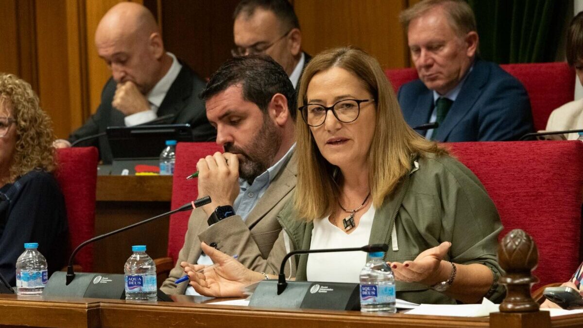El PP rechaza en Diputación una moción para garantizar la eficacia del cribado de cáncer de mama en Almería