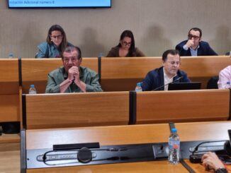 Socialistas durante el pleno