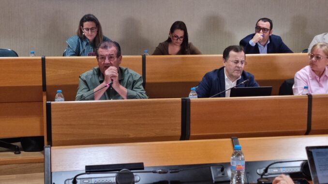 Socialistas durante el pleno