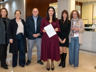 Los diputados provinciales del PSOE en la Diputación de Almería