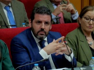 Ruiz durante su intervención en el pleno