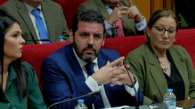 Ruiz durante su intervención en el pleno