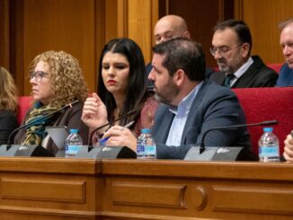 El portavoz socialista, Juan Manuel del Real, interviene en el Pleno de la Diputación de Almería