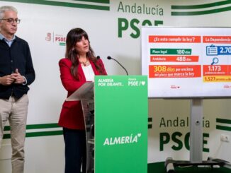 Vallejo y Plaza durante la rueda de prensa