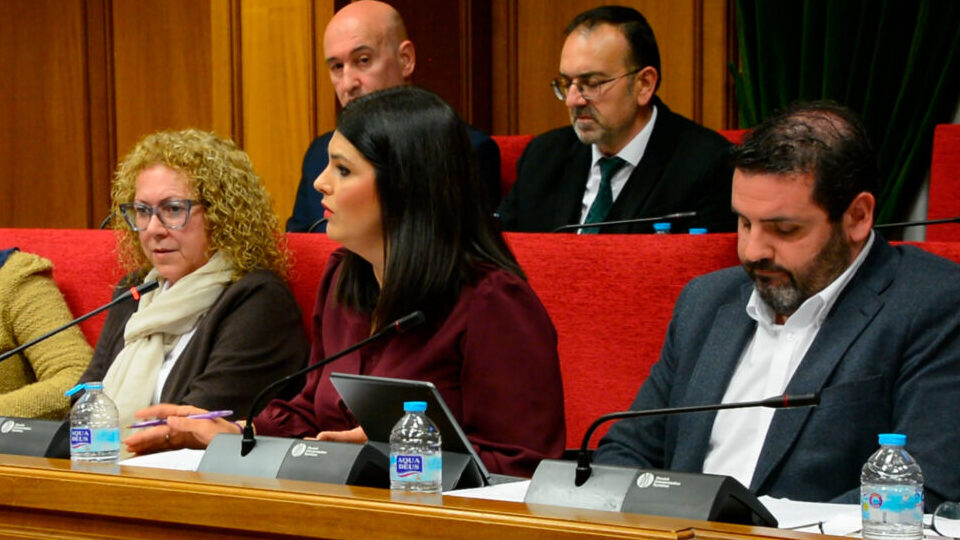 El PP rechaza en la Diputación la moción del PSOE para reforzar el Hospital La Inmaculada y mejorar la atención sanitaria en el norte de la provincia