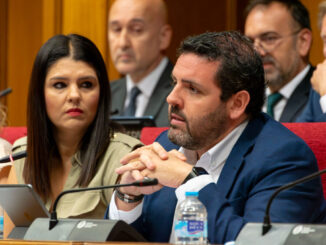 Juan Manuel del Real durante la sesión plenaria
