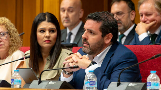 Juan Manuel del Real durante la sesión plenaria