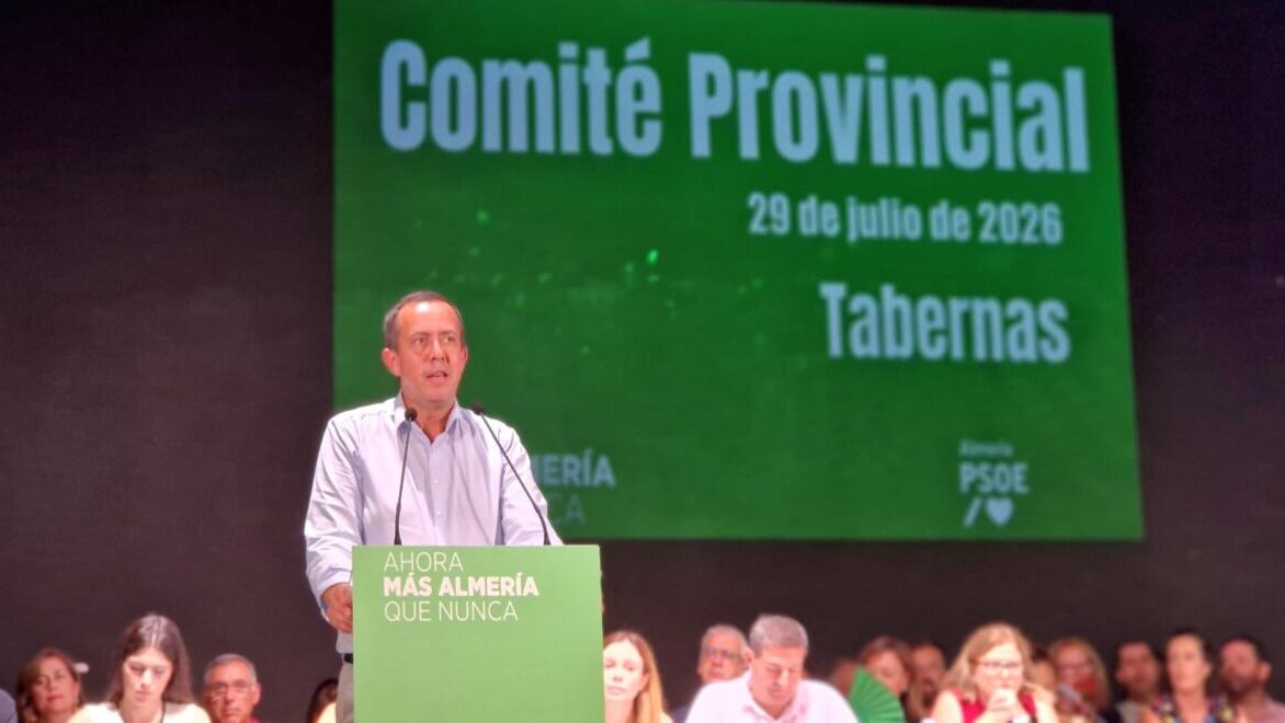 El PSOE advierte de que el nuevo Gobierno de Moreno Bonilla cronifica el sufrimiento de las familias almerienses