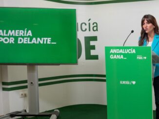 Inés Plaza Garcia, diputada nacional del PSOE
